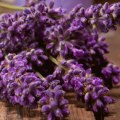 Everything You Need to Know About Aromatherapy Massage